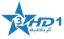 Arryadia HD 1 logo